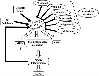 Role of ROS and Nutritional Antioxidants in Human Diseases